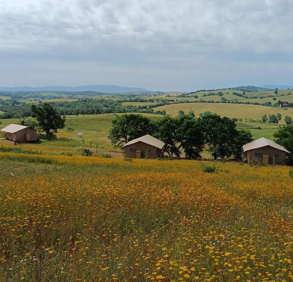 Glamping Podere Angiotto Lodge Montiano Magliano in Toscana