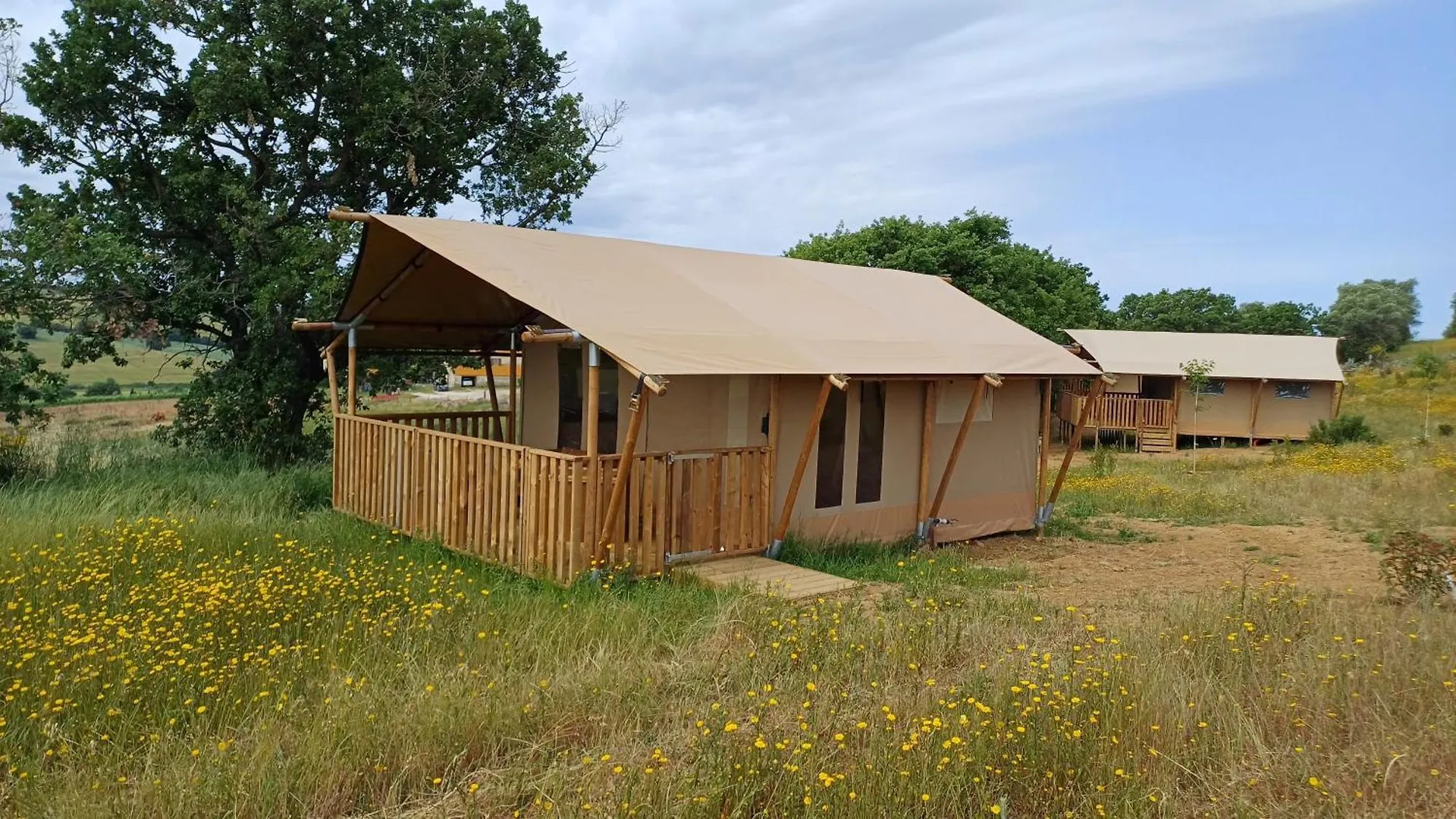 Glamping Podere Angiotto Lodge Montiano Magliano in Toscana 0*,  Italy